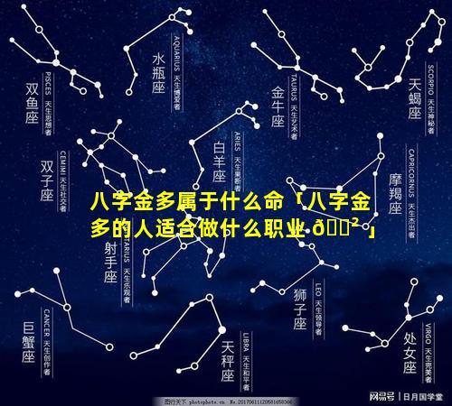 八字金多属于什么命「八字金多的人适合做什么职业 🌲 」